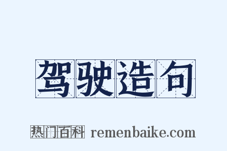 驾驶造句是什么意思的图片